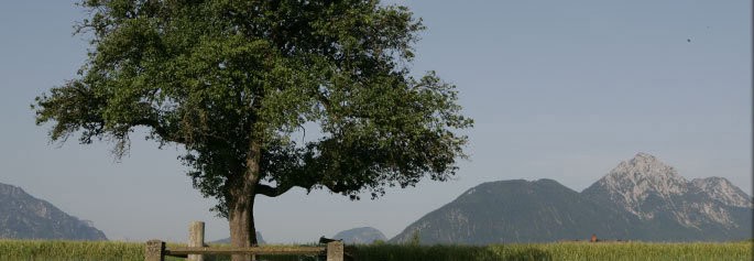 Wals-Siezenheim | Wir in Salzburg | Salzburger Volkspartei Wals-Siezenheim | Wir in Salzburg | Salzburger Volkspartei