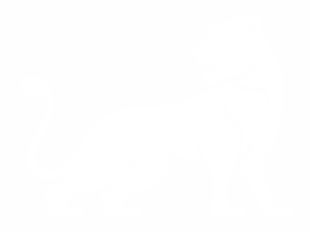 Programm | Wir in Salzburg | Salzburger Volkspartei