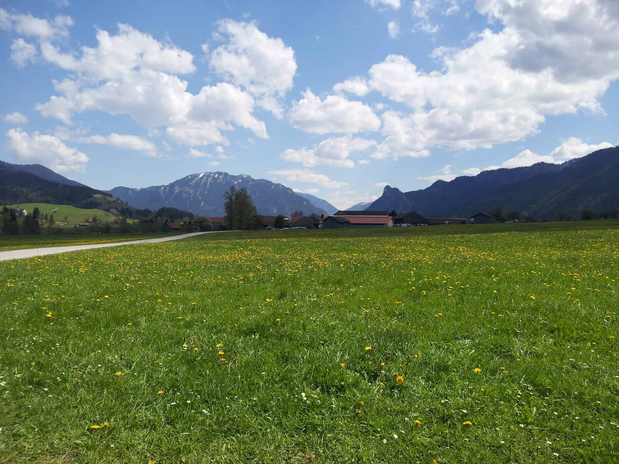 Alle Themen | Wir in Salzburg | Salzburger Volkspartei